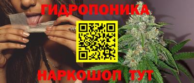 ALPHA PVP Заволжье