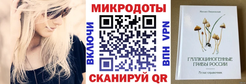 Галлюциногенные грибы Magic Shrooms  продажа наркотиков  Новоалександровск 