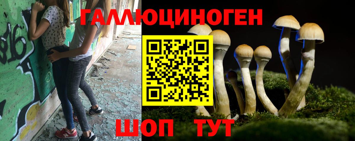 Новоалександровск  Галлюциногенные грибы мухоморы  Галлюциногенные грибы мицелий  Вход с VPN 